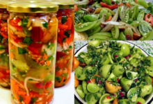 Photo of „არც სტერილიზაცია სჭირდება, არც „ასპირინი“