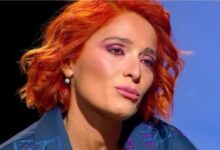 Photo of ნანუკა გულუა ძმას ეძებს