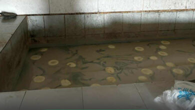 Photo of კახეთში ყველის არარეგისტრირებული საწარმოები აღმოაჩინეს