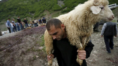 Photo of ლომისის წმინდა გიორგის საიდუმლო